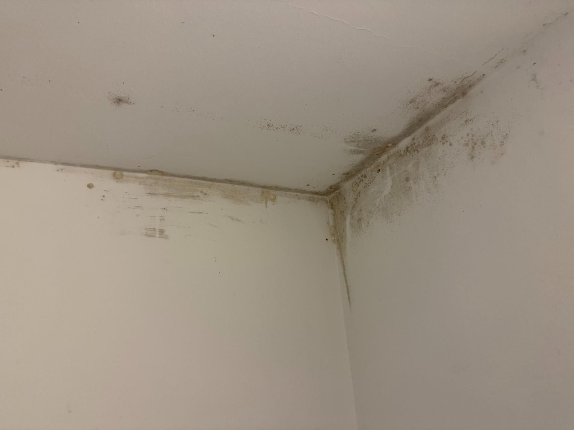 Schimmel en condensbestrijding door Umor uit Deurne-Diest