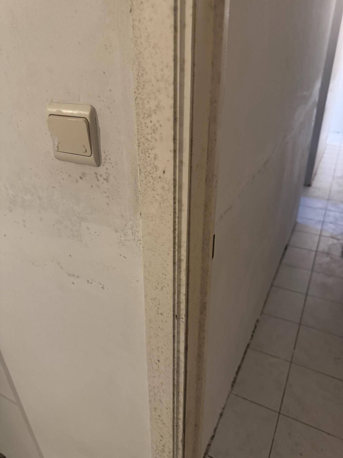 Schimmel en condensbestrijding door Umor uit Deurne-Diest